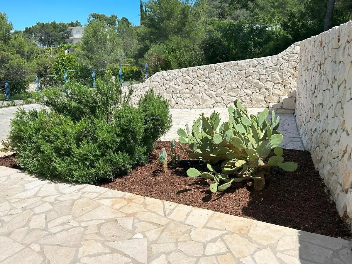Apartments Antonella Trogir
